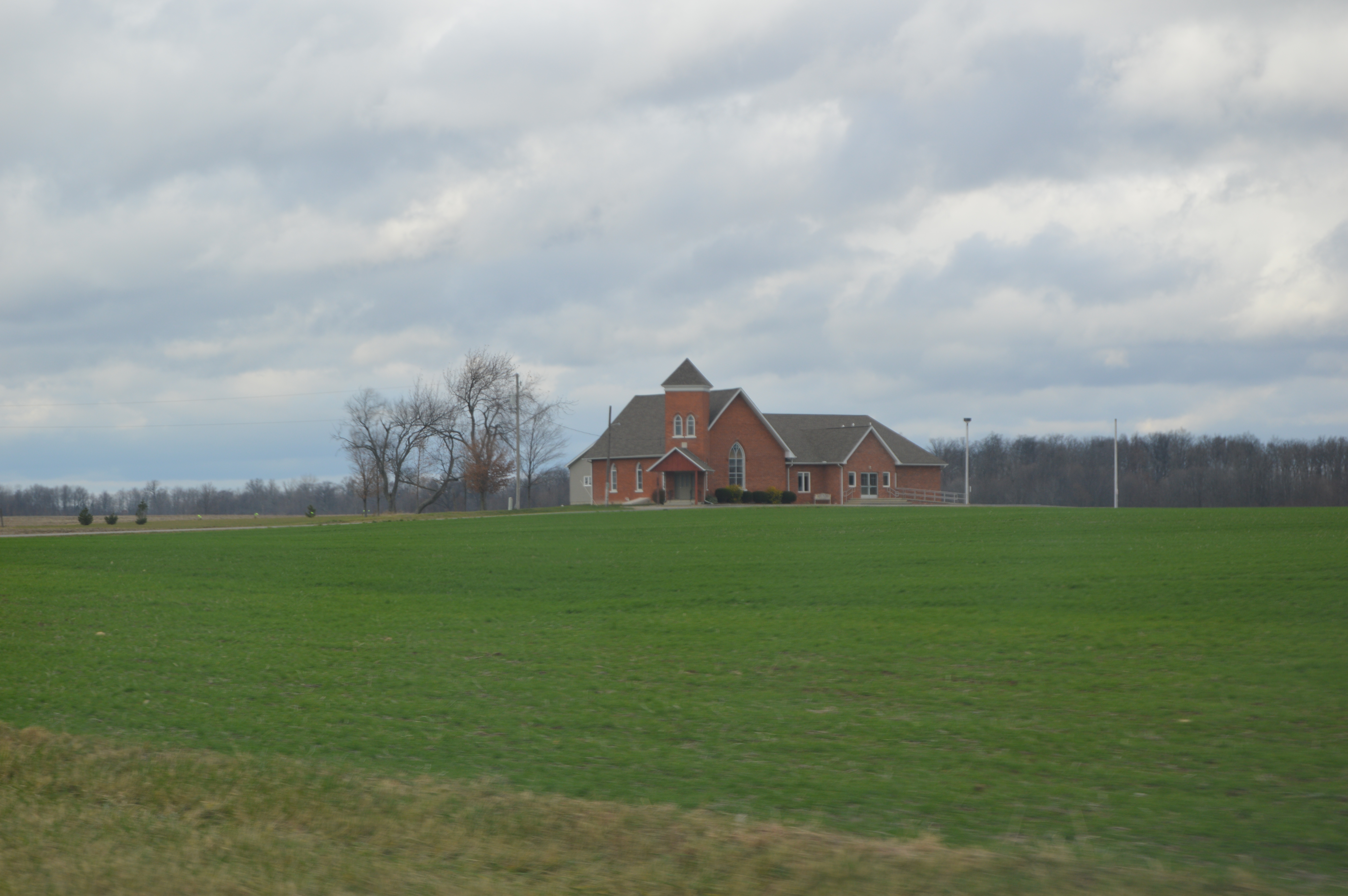 Wheat fields in Jefferson Township, Williams County, Ohio